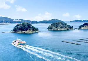 Dolphin Island & Toba Bay Cruise