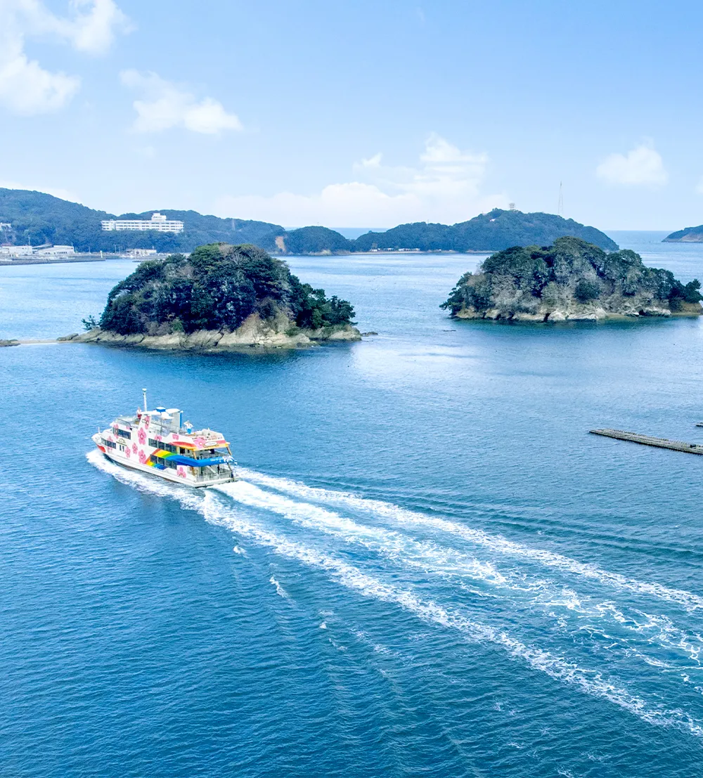 Dolphin Island & Toba Bay Cruise