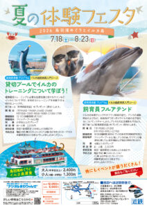 イルカ島　夏の体験フェスタ開催　2026年7月18日（土）～ 8月23日（日）まで