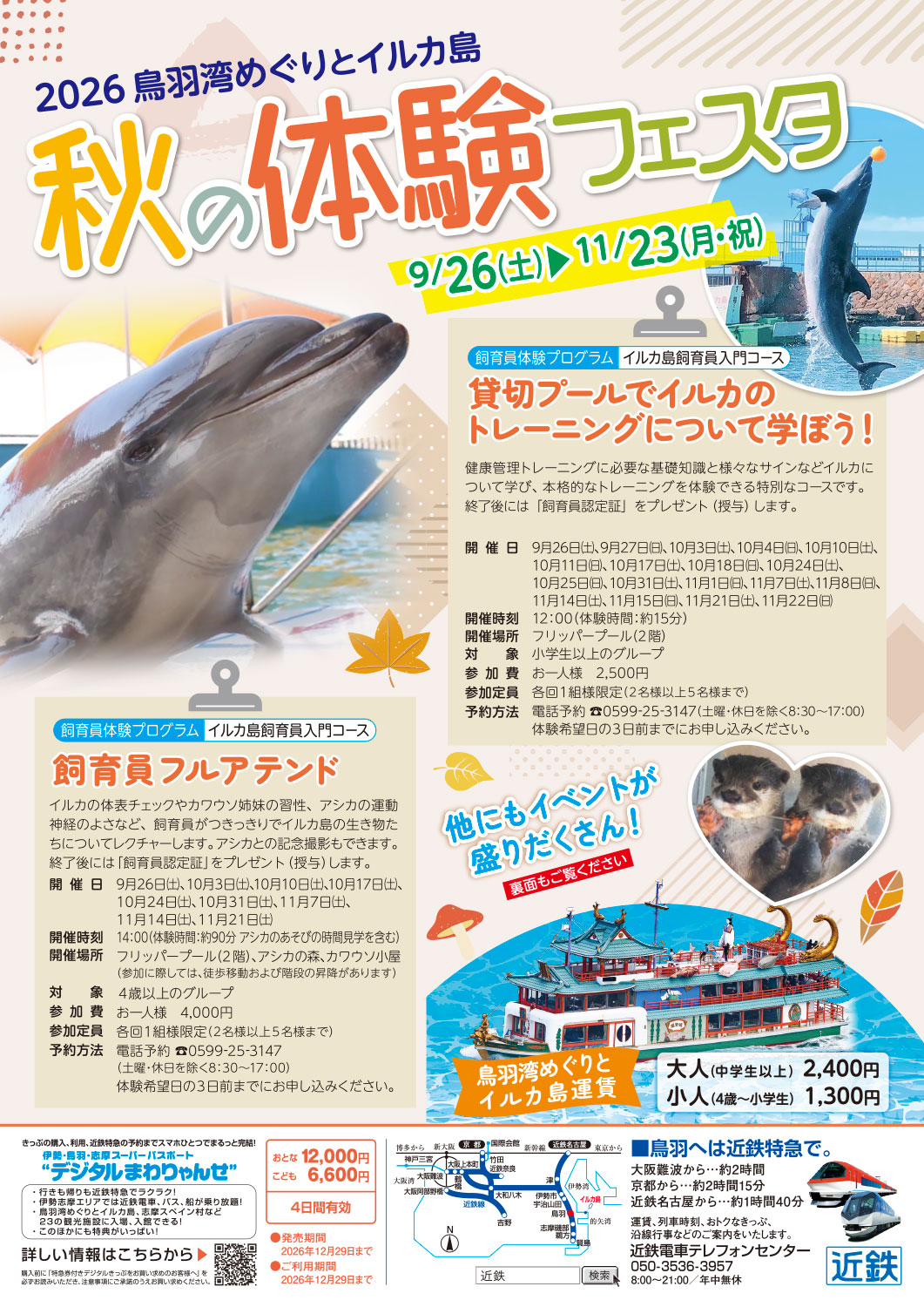 イルカ島　秋の体験フェスタ開催　2026年9月26日～11月23日まで